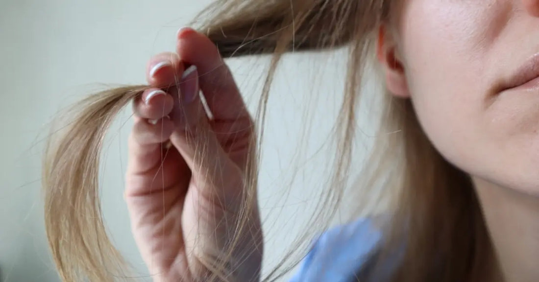 Close up of split ends showing the need for a proper Damaged hair care routine